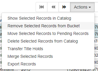Remove Selected Records from Bucket is the second option listed in the Actions dropdown menu.
