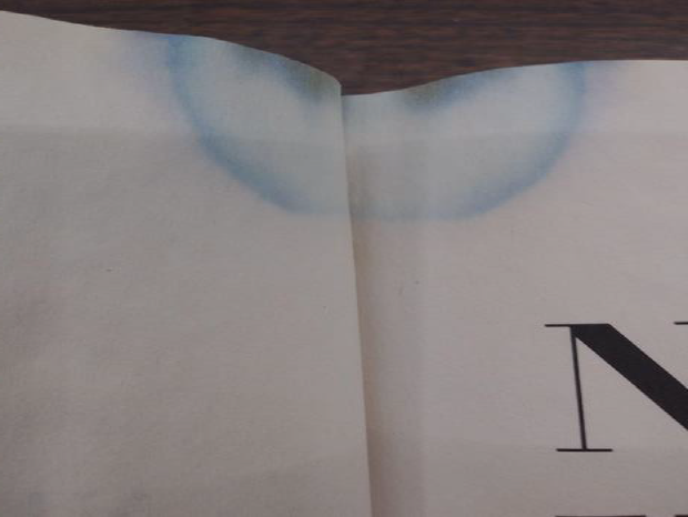 Example of pages in a book with mold damage