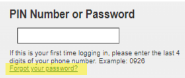 Password section of My Account login screen.
